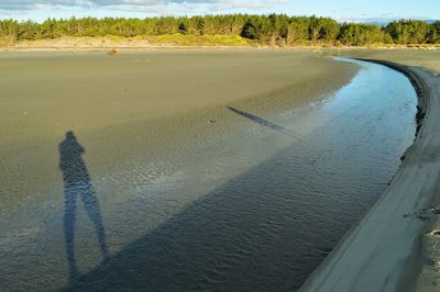 Reflection of trees in water