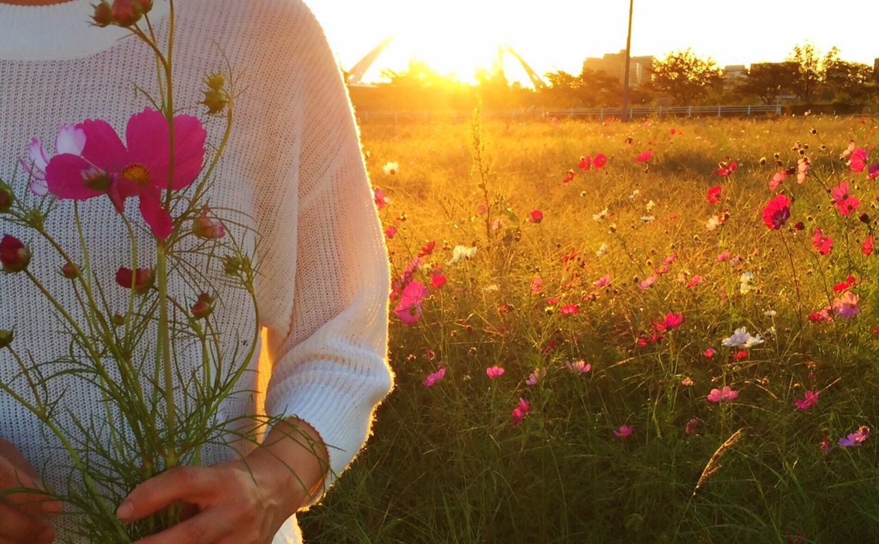 flower, field, nature, grass, growth, one person, plant, sunset, beauty in nature, real people, meadow, outdoors, fragility, women, sunlight, holding, petal, uncultivated, poppy, summer, rural scene, flowerbed, flower head, day, close-up, freshness, bouquet, human hand, bride, adult, young adult, people, sky