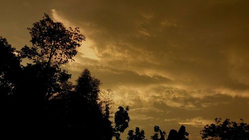 Low angle view of silhouette trees against sky during sunset