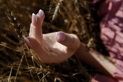 Close-up of hand holding plant