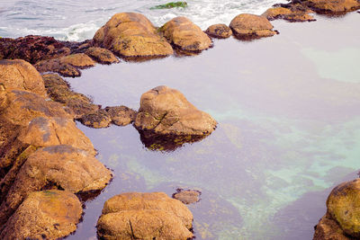 High angle view of rocks in sea