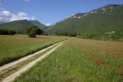 Scenic view of field by mountains against sky