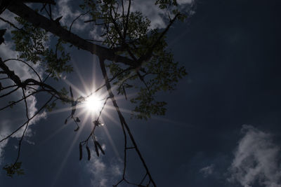 Low angle view of silhouette tree against sky during sunset