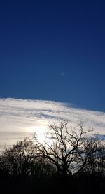 Silhouette bare tree against blue sky