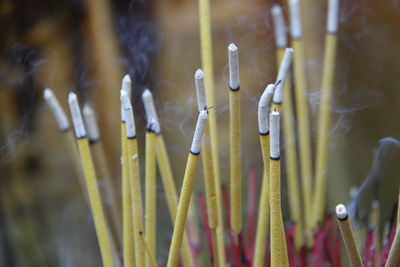 Close-up of sticks on wood