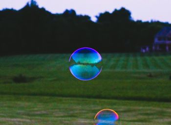 bubble