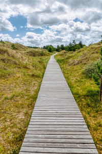 Boardwalk amidst plants on land against sky