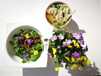 High angle view of potted plant on table