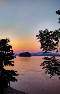 Silhouette tree by sea against sky during sunset
