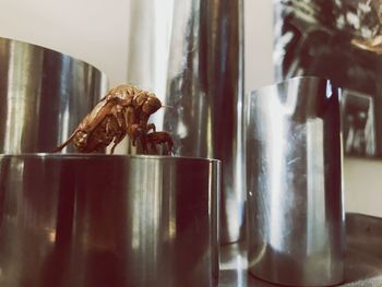 Close-up of drinking glass on table