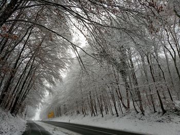 Snow covered road amidst bare trees during winter