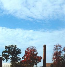 Low angle view of trees against cloudy sky