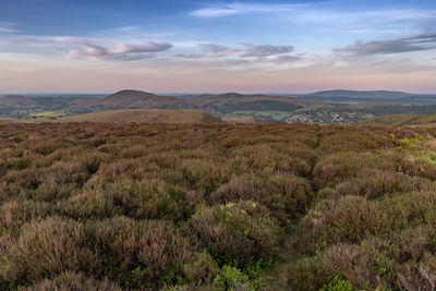 Scenic view of landscape against sky during sunset