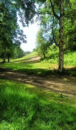 Scenic view of green landscape against sky