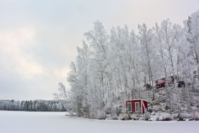 Trees on snow field against sky