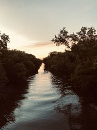 Scenic view of river amidst trees against sky