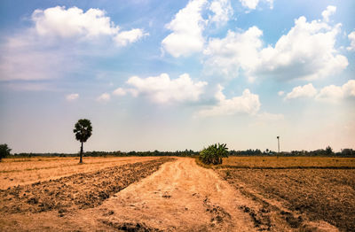 Scenic view of field against sky