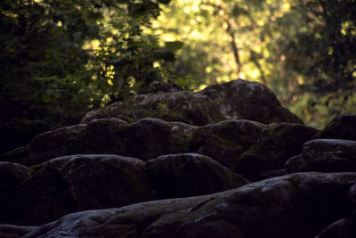 Close-up of rocks