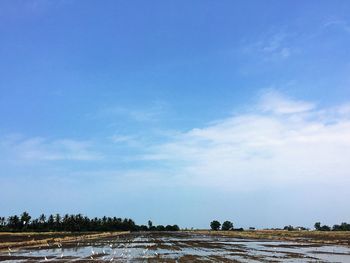 Scenic view of landscape against blue sky