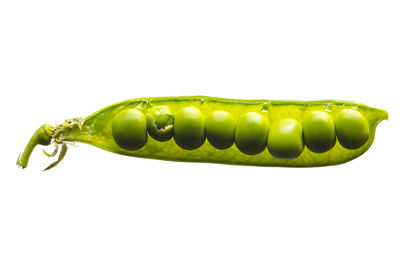 Close-up of green pea against white background