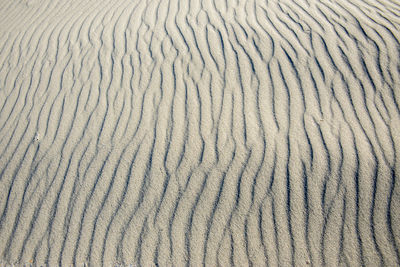 Full frame shot of sand dune ripples