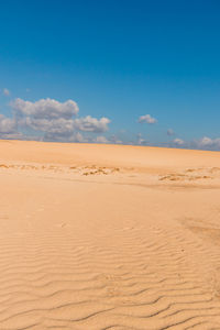 Scenic view of desert against blue sky