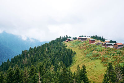 Panoramic view of trees and houses against sky