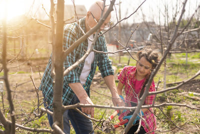 Girl with grandfather cutting trees