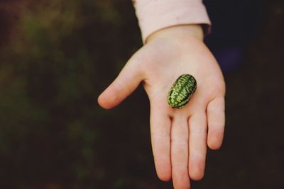 Close-up of hand holding fruit