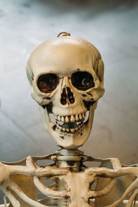 Close-up of human skull against blurred background