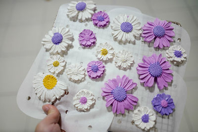 Close-up of hand holding purple flowers on table