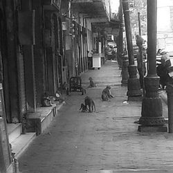 View of empty road