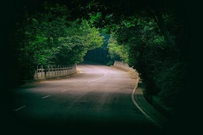 Empty road along trees