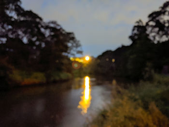 Illuminated plants by trees against sky at night