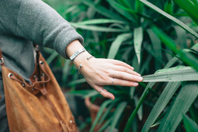 Midsection of woman touching leaf