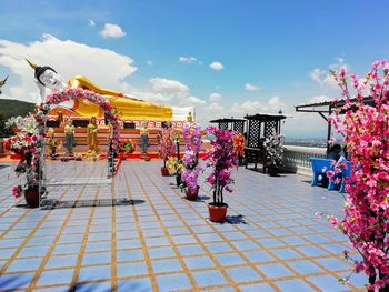 View of multi colored flowering plants in city