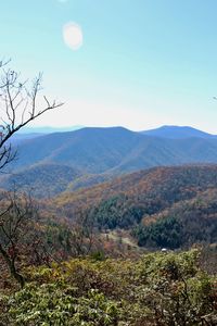 Scenic view of landscape against clear sky