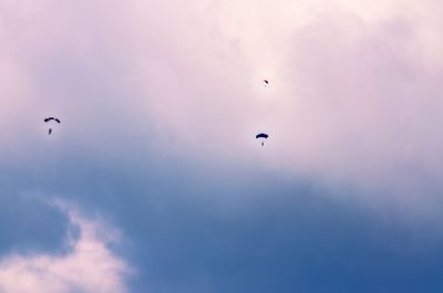 Low angle view of silhouette birds flying against sky