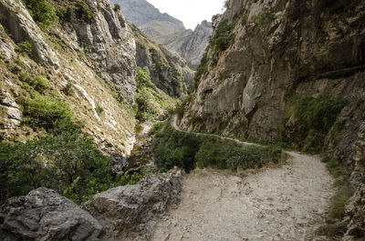 Scenic view of mountains