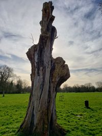 Tree trunk on field against sky