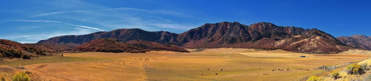 Scenic view of landscape and mountains against sky