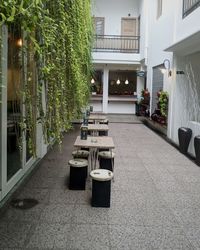 Potted plants on table outside building
