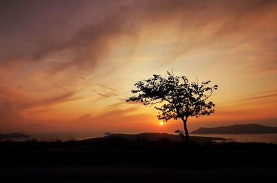 Silhouette tree on field against romantic sky at sunset