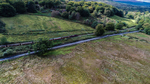 High angle view of road amidst trees