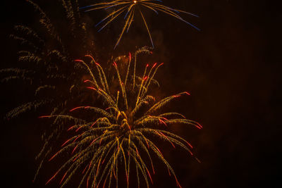 Low angle view of firework display at night