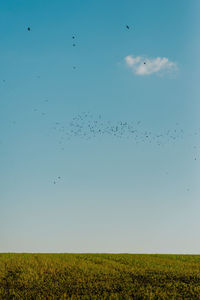 sky