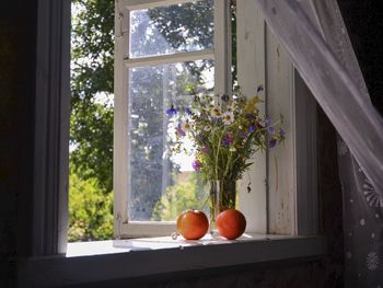 View of apples on window sill