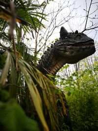 Close-up of lizard on branch against sky