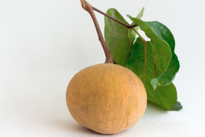 Close-up of fruit against white background