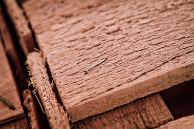 Close-up of wooden log